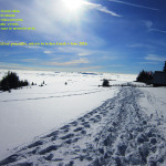 PD-Ljubno-ob-Savinji-voscilo-2016